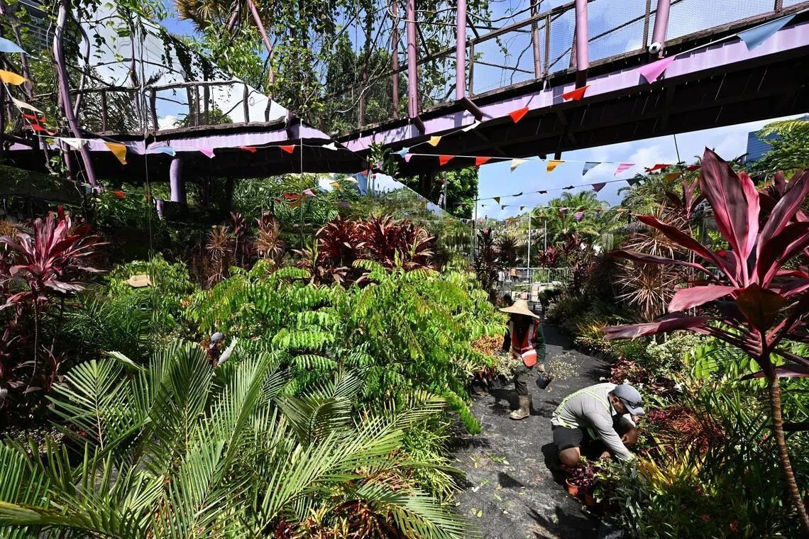 Floral Infinity Mirror is a 14m immersive walkway between The Meadow and Supertree Grove. - - Photo: ST