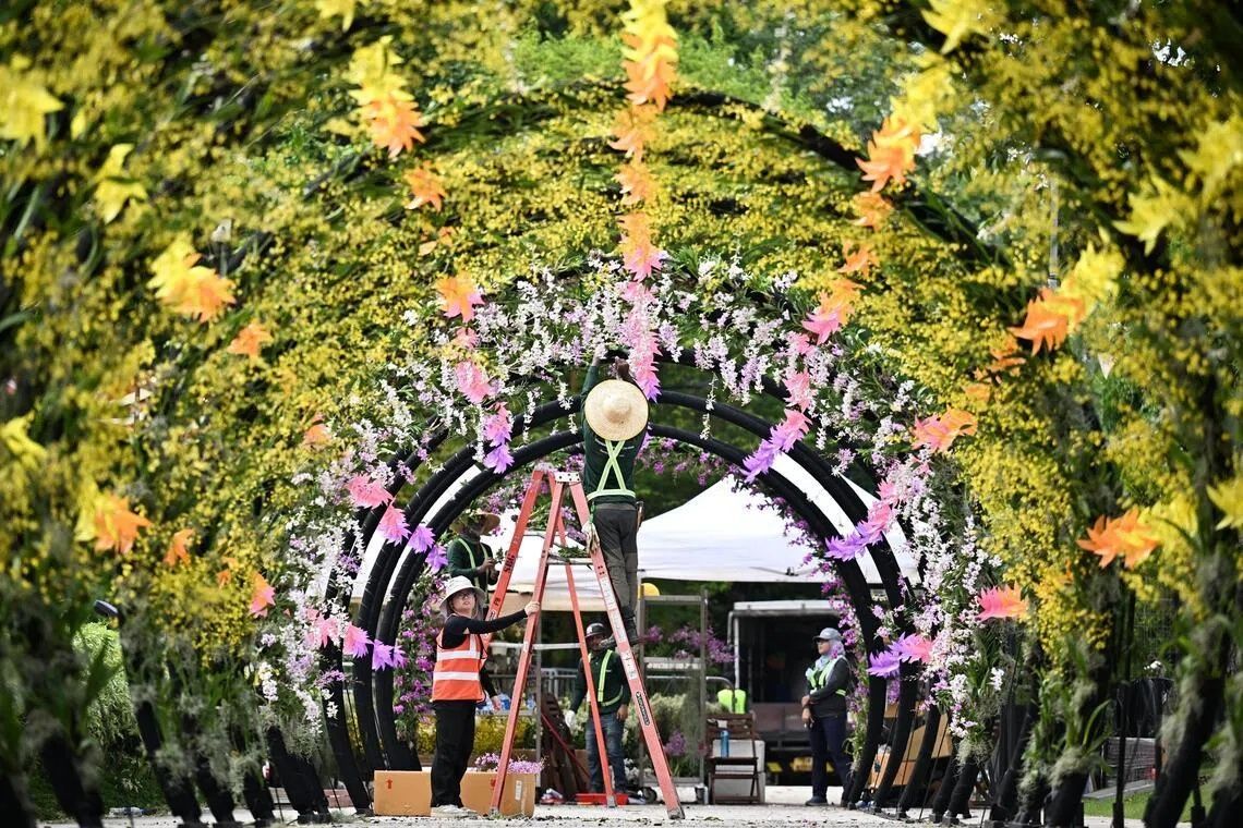 Yellow Oncidiums, Dendrobiums and other vandaceous orchids are arranged in a swirling pattern in Floral Vortex. - Photo: ST