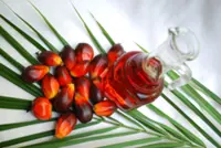 More than just a cooking oil