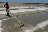 Indonesia aims to end salt imports by 2027