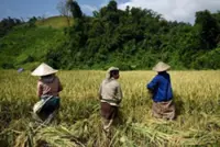 Laos authorities review draft agenda for rural development, poverty alleviation