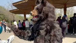 China zoo offers US$15,000 annual salary for bear costume performer with strict silence clause