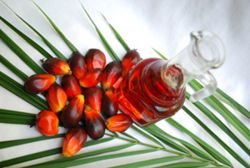 More than just a cooking oil