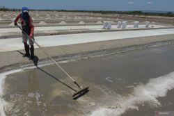 Indonesia aims to end salt imports by 2027