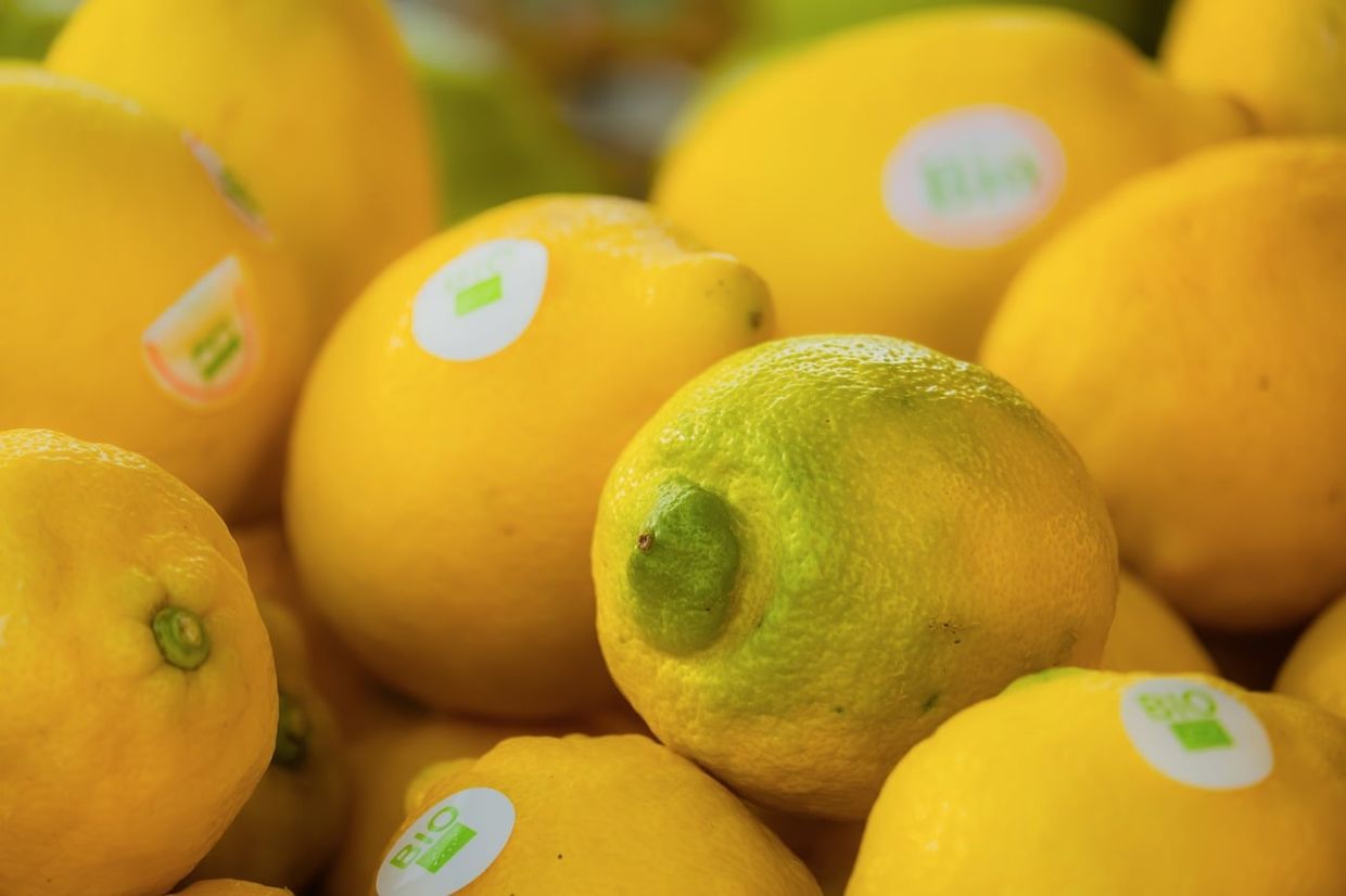 Citrus fruits like oranges, lemons, limes, and grapefruit are brilliant heat-weather staples.