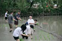 Hard work and endurance: what Alibaba’s team-building says about its AI drive