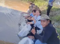 Siakap fry, giant freshwater prawn, released into Sungai Padas