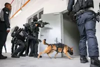 Singapore trials new canine-mounted camera system to improve search operations