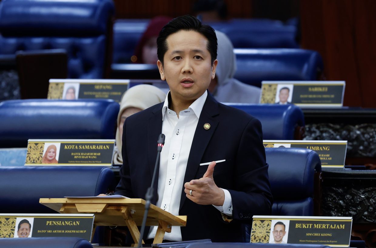 Human-elephant conflict in Johor cut by over 30%, Dewan Rakyat told
