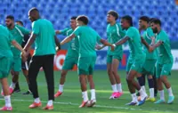 Soccer-Africa revel in World Cup success with nine teams into knockout round