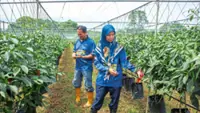 Online videos lead couple to fulfilling farming career