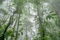 Nature’s quick comeback