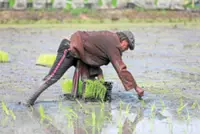 Squeezed by war and weather