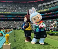 'Made in China' products score big at FIFA World Cup