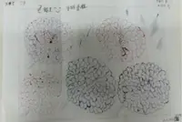 ‘See you soon’: Stalker’s chilling prison letter sparks outrage in South Korea
