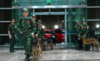 Vietnam dispatches team to Venezuela after earthquake rescue