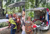 Not so fun-gi: Couple suffer severe food poisoning after eating wrong wild mushrooms
