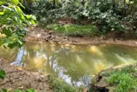 12-year-old dies in croc attack