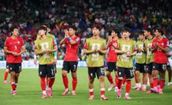 Soccer-South Koreans turn on Hong after disappointing World Cup campaign