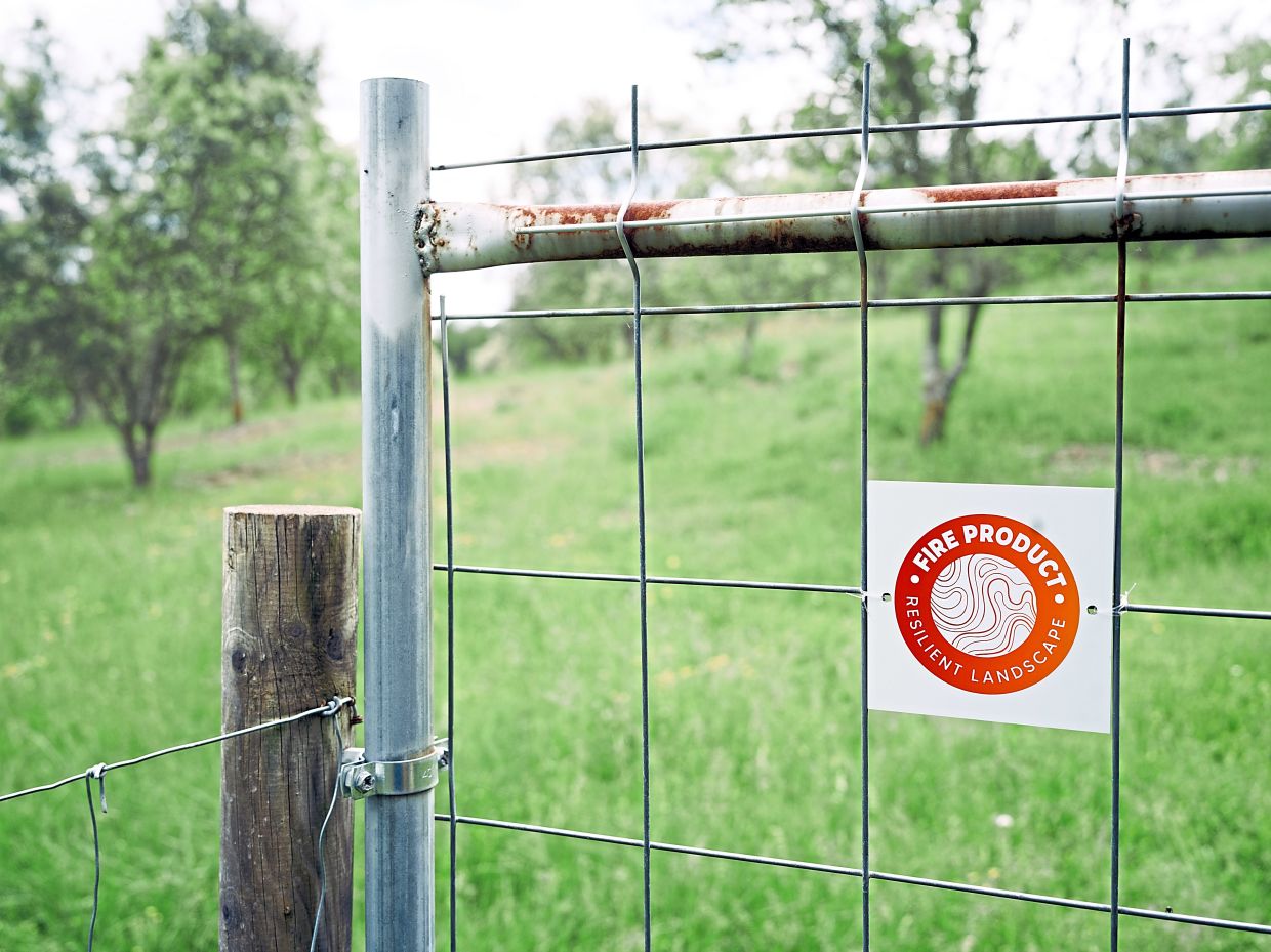 A gate at Biotruf, a truffle plantation which has been awarded the ‘Fire Product’ label, near Solsona. — Samuel Aranda/The New York Times