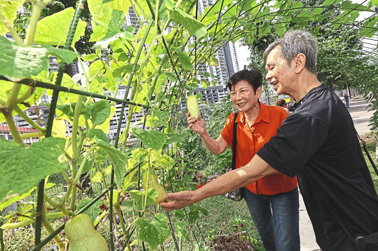 KC (right) and Jenny look forward to a similar project being done in their own residential community. 