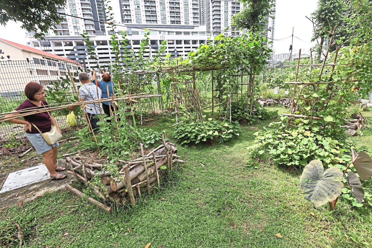 What was once an abandoned field is now transformed into a community food forest for the residents. 