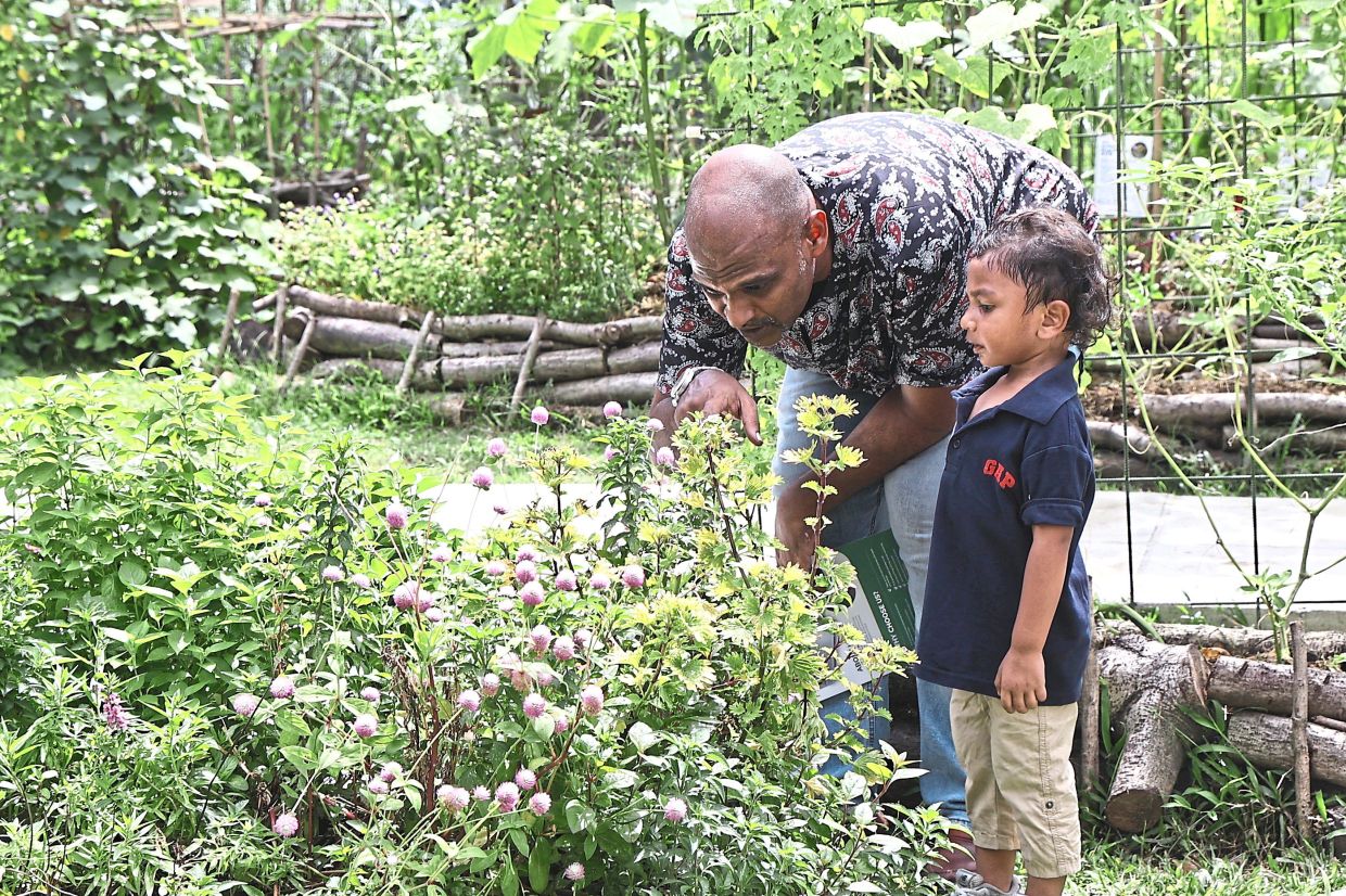Seeing the garden in its entirety for the first time, Thiebeen (left) is amazed at how far they’ve come compared to six months ago. 