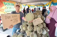Penang durian prices still up