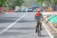 Health or hunger in the killer heat