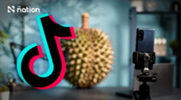 Thai durian sales soar as TikTok live commerce drives demand