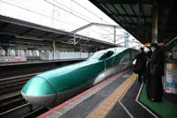Japan bullet train collides with bear in Akita prefecture; no injuries reported