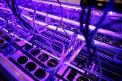 Bitcoin miner and AI firm Ionic Digital files for Nasdaq direct listing