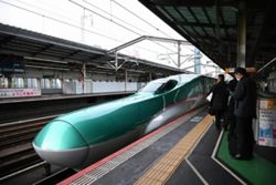 Japan bullet train collides with bear in Akita prefecture; no injuries reported