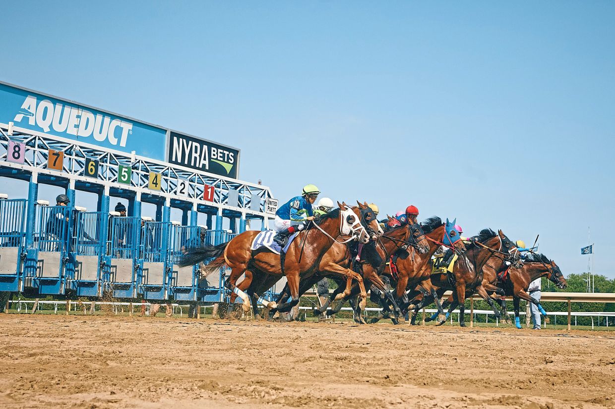 Horses breaking from the starting gate during a race on the track's closing day recently.