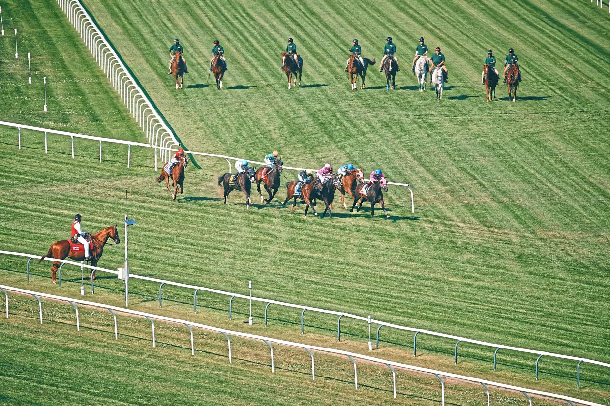 Horses racing down the turf course during the final race at Aqueduct Racetrack in New York on June 28. — ANDRES KUDACKI/AP