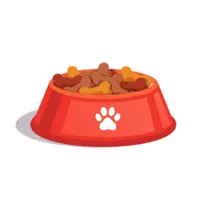What’s in your dog’s food? How to make sure your pet is getting quality meals