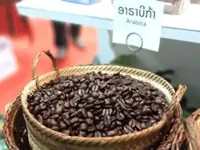 Laos earns over US$750mil from crop exports in first five months of 2026