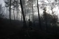 Two dead after wildfire guts house in northern Greece