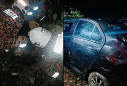 Motorist hurt after car hits elephant calf and plunges into ravine