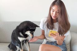Online 'misinformation' could put pets at risk, warns vet