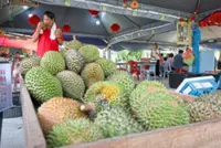 Forced to throw or give away unsold durian