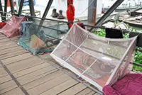 Experts warn of dengue spike as outbreak spreads
