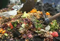 Malaysian households waste up to 97.3kg of food per capita annually, says Stats Dept