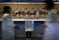 Tens of thousands queue for the Bayeux Tapestry’s rare England show