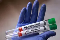 Signed, sealed, delivered: Hantavirus outbreak linked to cruise ship 'over', says WHO chief