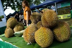 RM10 for all-you-can-eat durian feast hosted by Melaka govt