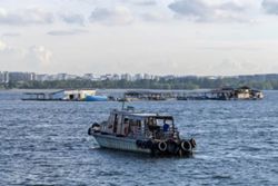 70-year-old man dies after falling into waters off Singapore's Pulau Ubin; no foul play suspected