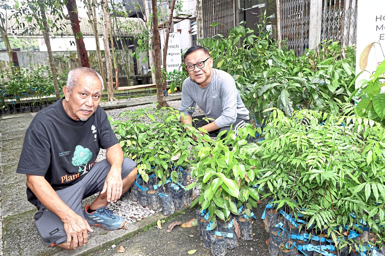 Lok (left) and Moo, the co-founders of Green Tree Plantation. Photo: The Star/Art Chen