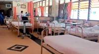 Testing drugs that could treat dengue 