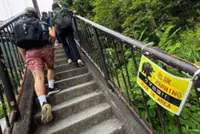 Japan deploys bear cameras in mountains as attacks surge